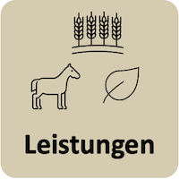 Leistungen.png